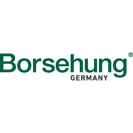 Borsehung